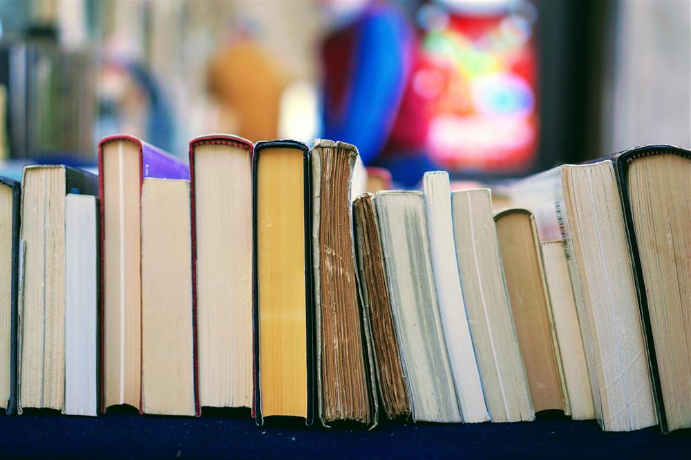 Understanding Transitioning from Primary to Secondary